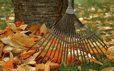 Increase your Home’s Curb Appeal