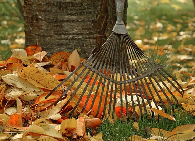 Increase your Home’s Curb Appeal